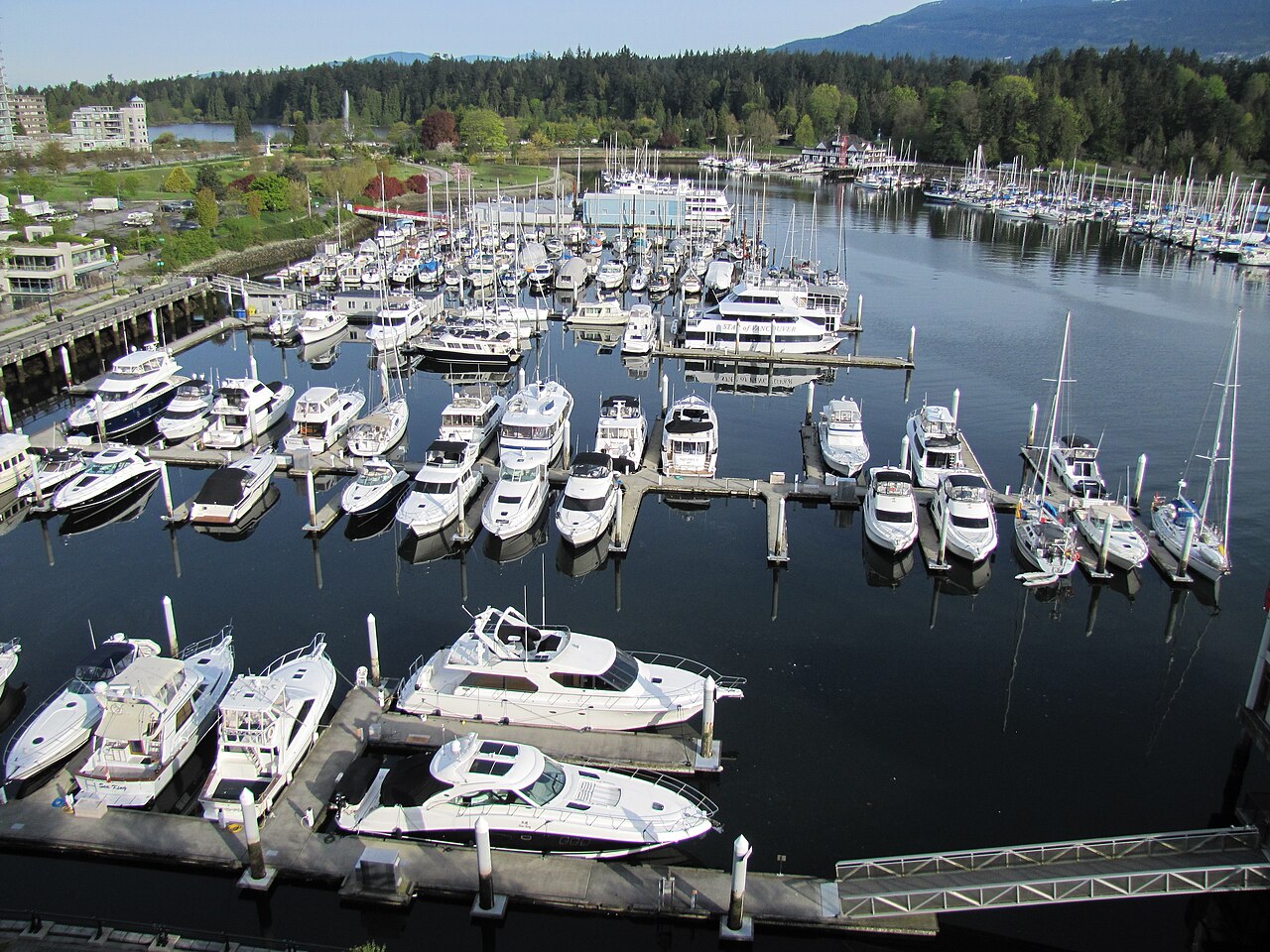 Coal Harbour lifestyle